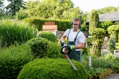Lawn and Tree Maintenance Services